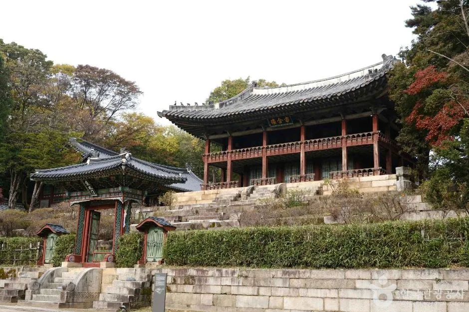 청기와를 얹은 선정전 지붕 처마의 아름다운 곡선