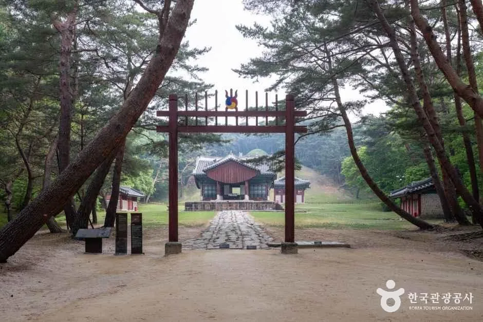 울창한 소나무 숲속에 서 있는 조선왕릉의 붉은 홍살문