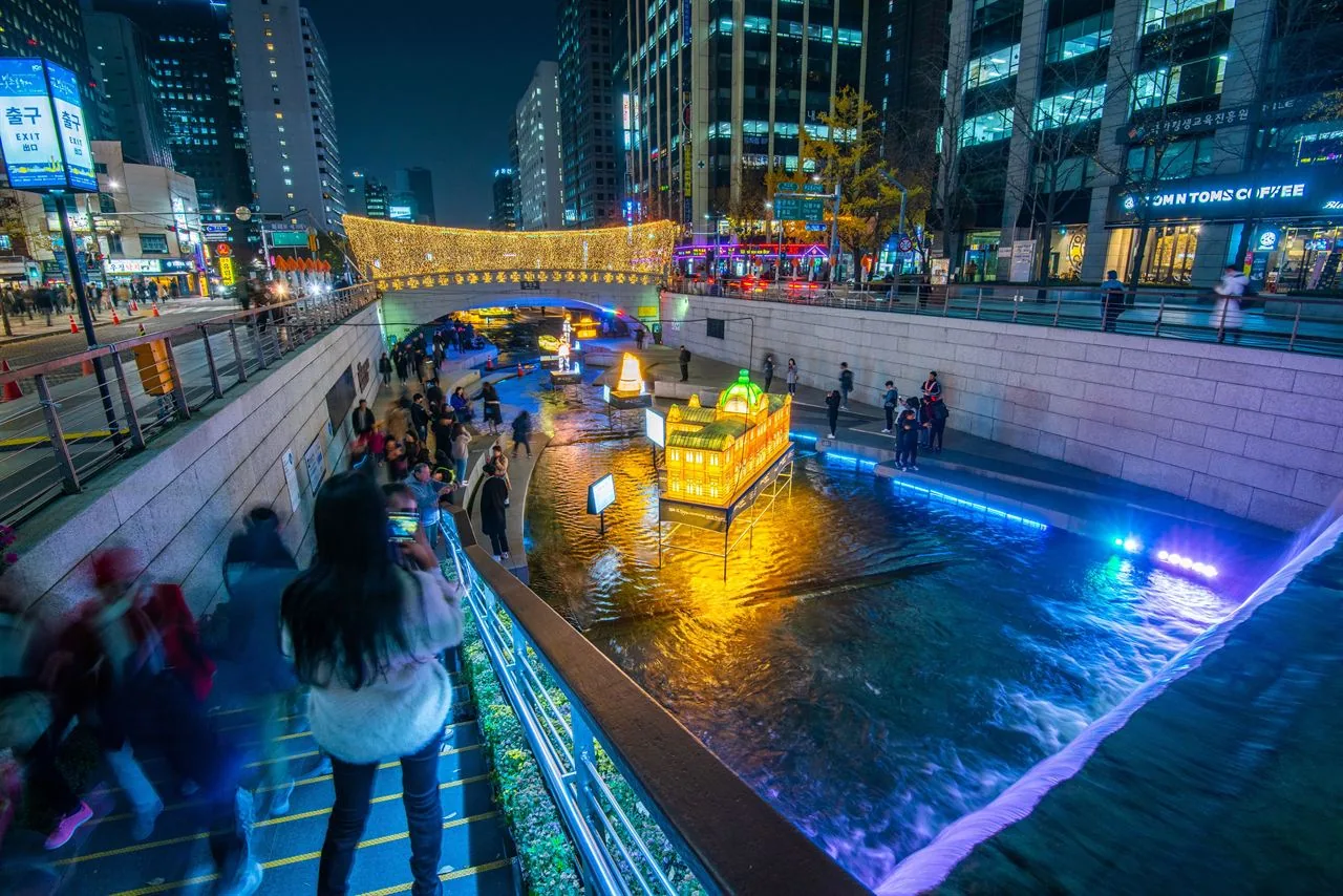 night exhibitions in Korea