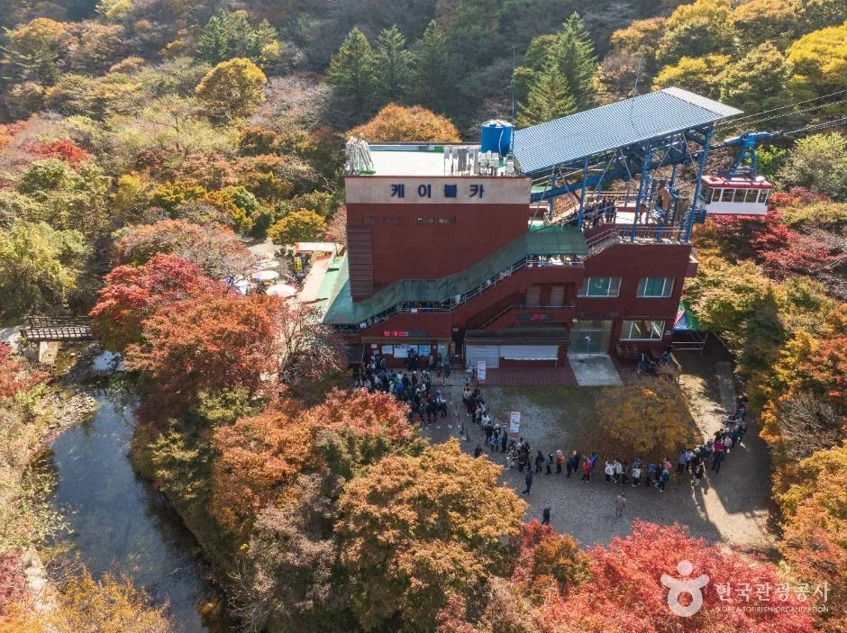 내장산 단풍 등산