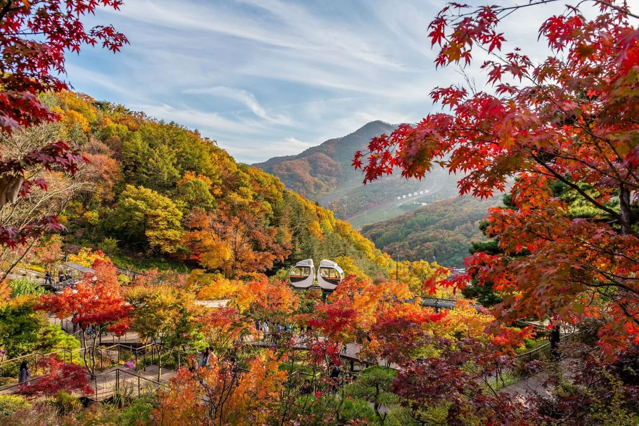 단풍 비탈을 오르는 화담숲 산악 모노레일