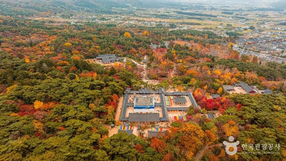 불국사 대웅전 앞 다보탑과 석가탑의 조화로운 가을 풍경