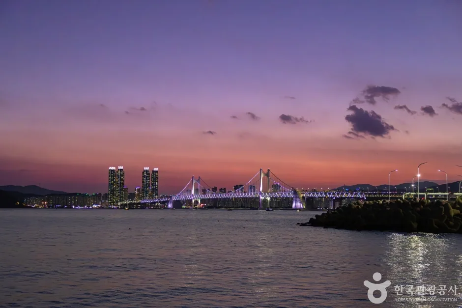 한국 야경 명소